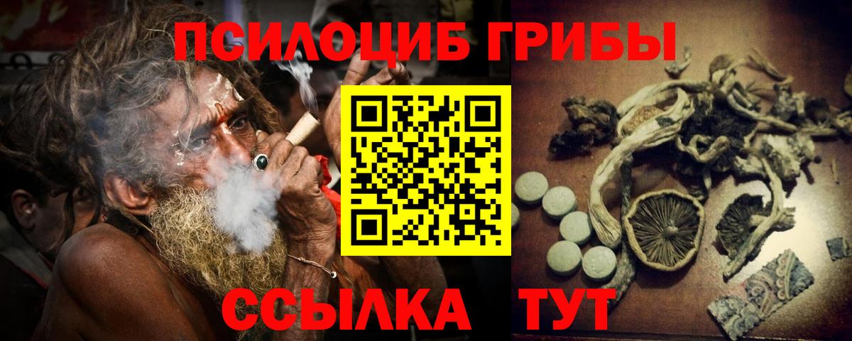 Псилоцибиновые грибы Psilocybine cubensis Карпинск